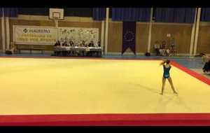 Championnats des Yvelines 2015