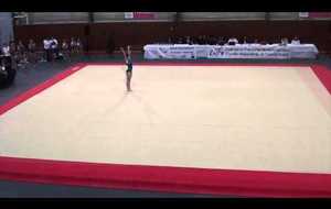 Championnat des Yvelines par équipes 2013 - 2014